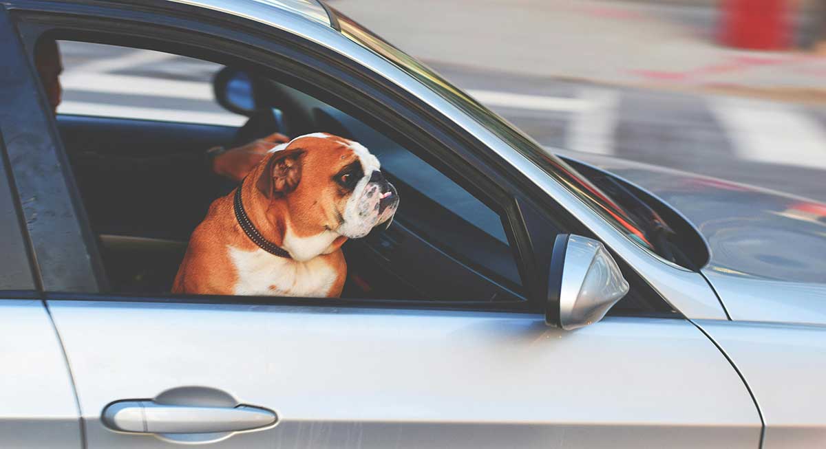 Emergency Kits for Cars
